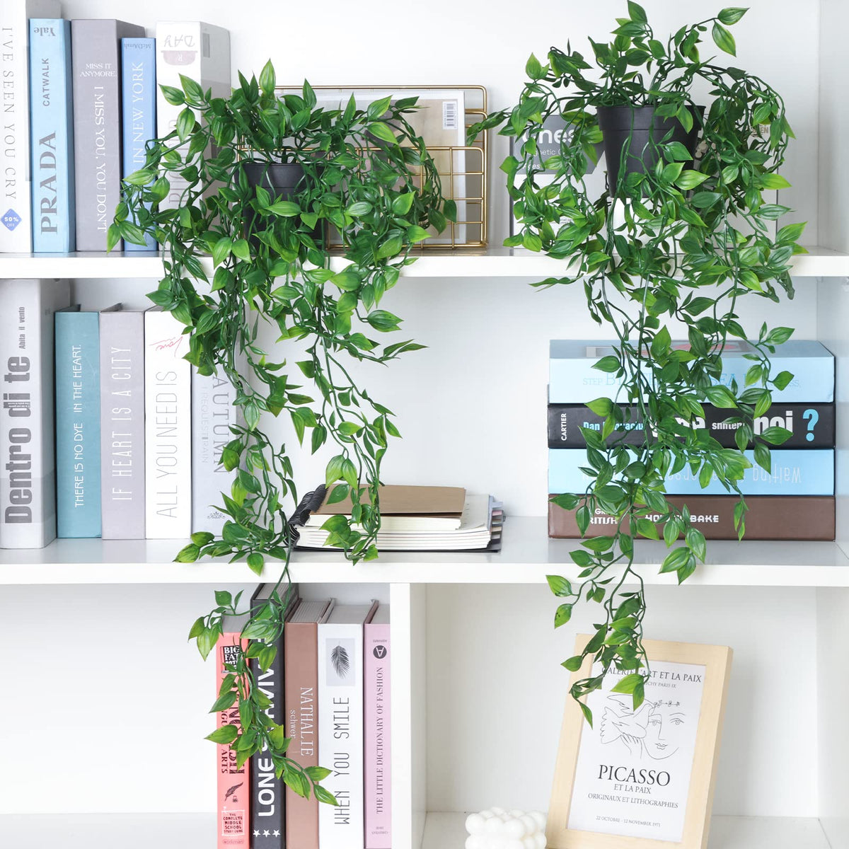 Whonline wall decor arrangement with hanging plants elevates hallways or shelves.