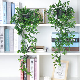 Whonline wall decor arrangement with hanging plants elevates hallways or shelves.