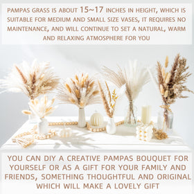 WILD AUTUMN ethically sourced pampas grass for sustainable decor