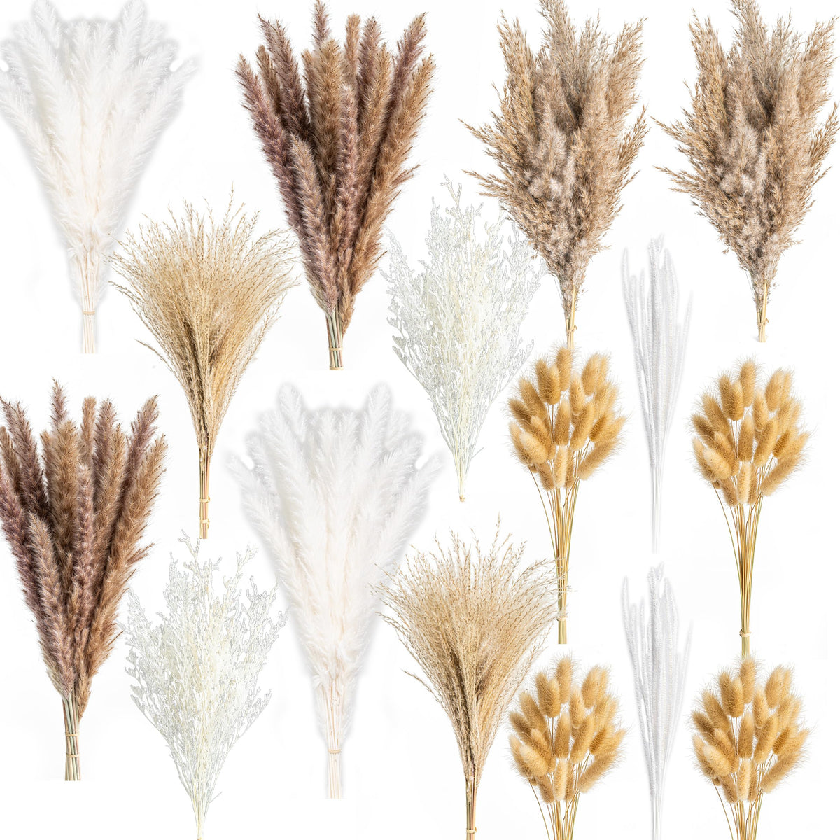 WILD AUTUMN natural pampas grass decor enhances eco-friendly styling