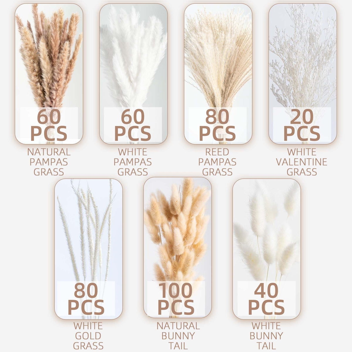 Wild Autumn pampas grass bouquet drying stage for long-lasting decor.