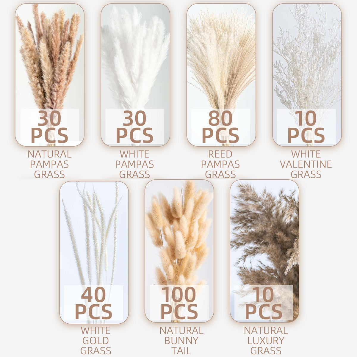 WILD AUTUMN pampas grass display on shelf for minimalist decor