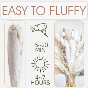 WILD AUTUMN pampas grass stems fluff after sun exposure for fullness