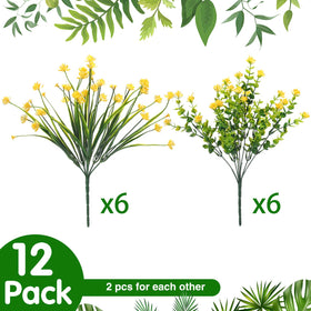 WILLBOND boxwood-yellow shrub adds compact greenery for porch or balcony decor.