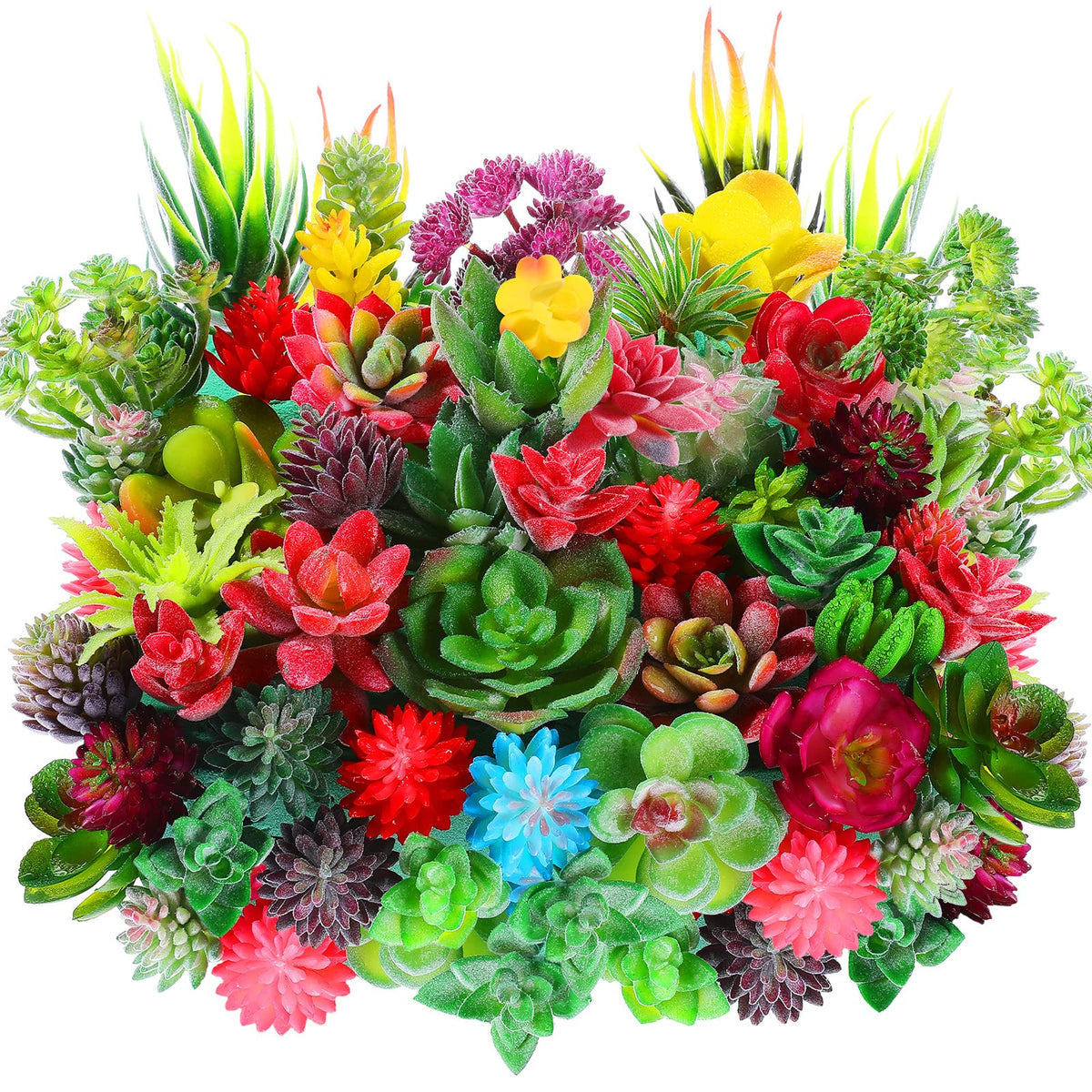 WILLBOND mini succulents 50-piece set with varied styles for DIY landscapes