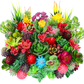 WILLBOND mini succulents 50-piece set with varied styles for DIY landscapes