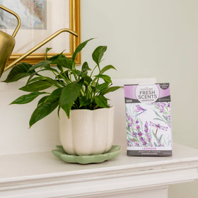 WillowBrook Essential oil blend enhances the lavender fragrance