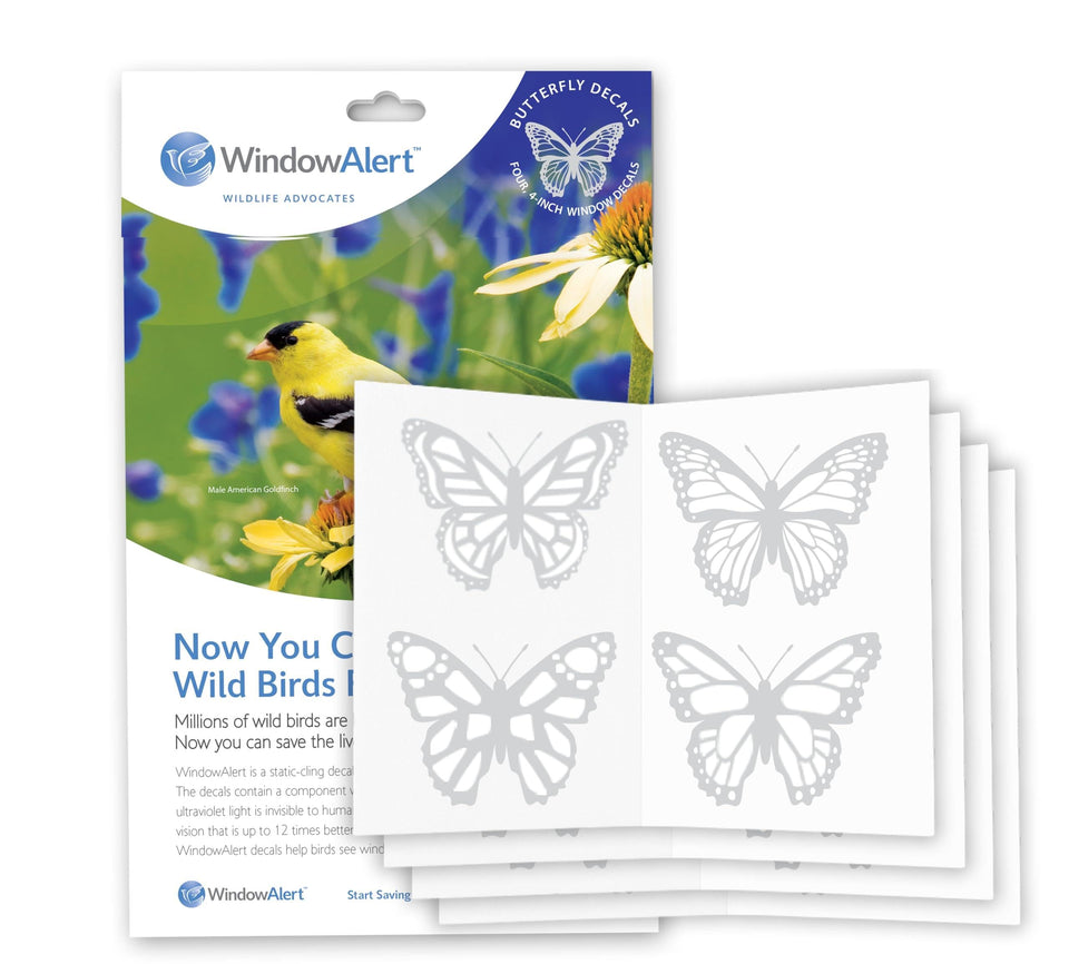 WindowAlert butterfly decal sheet 01 on exterior glass with UV-reflective warning for birds
