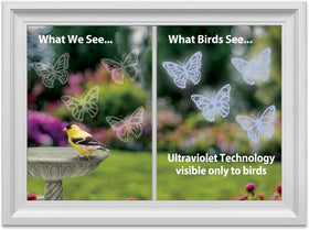WindowAlert butterfly decal sheet 02 on exterior glass adds decorative bird-safe UV signals