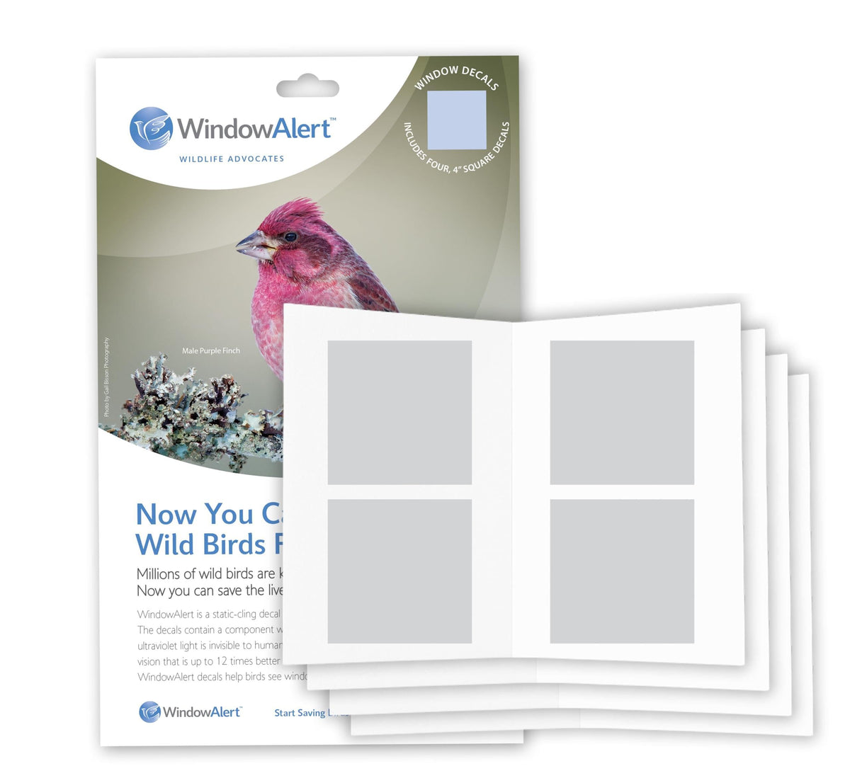 WindowAlert Classic Square decals, four-sheet pack, deter birds from glass collisions.