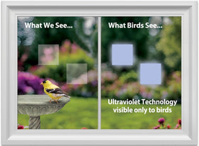 WindowAlert UV-reflective decals glow in sunlight to alert birds.