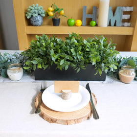 Unboxed view of the 14-inch Winlyn boxwood plant and planter.