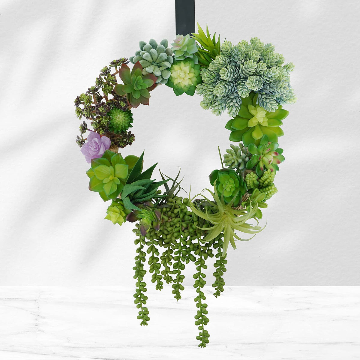 Winlyn Aeonium pick creates bold focal points in arrangements.