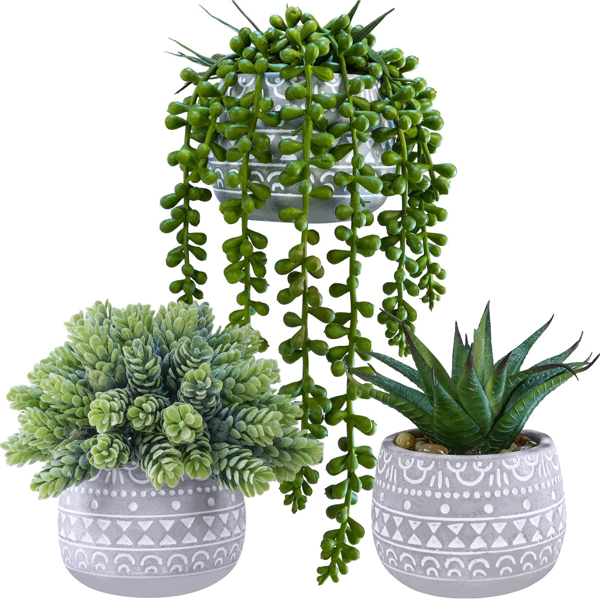 Winlyn aloe potted succulent in a gray concrete pot for stylish indoor decor