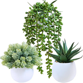 Winlyn aloe succulent in white pot enhances desk decor with lifelike texture