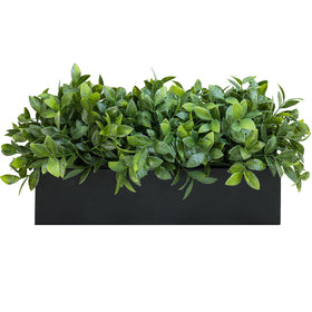 Winlyn artificial boxwood arrangement in a black wooden planter, ideal for modern farmhouse decor.