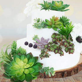 Winlyn air plant artificial succulent adds airy texture to terrariums