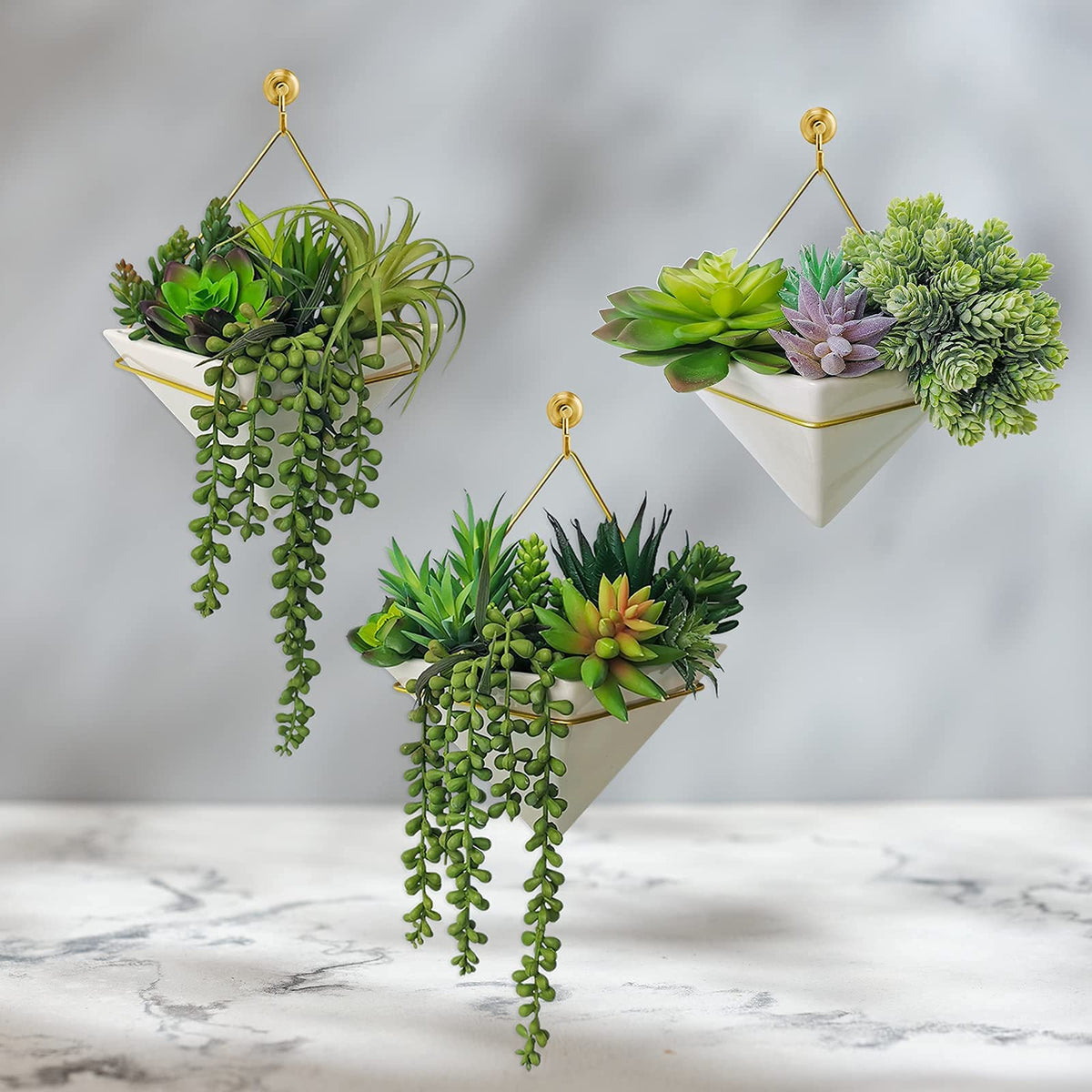 Winlyn burro's tail stems add trailing interest for bouquets and wreaths