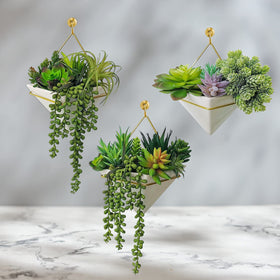 Winlyn burro's tail stems add trailing interest for bouquets and wreaths
