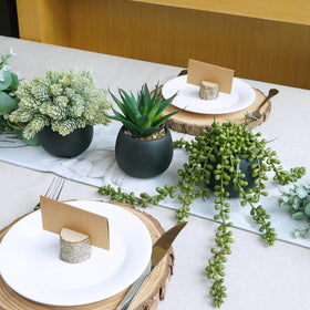 Winlyn mini succulents on a desk offer a fresh, modern vibe.