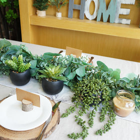 Winlyn artificial succulents on a desk as a compact display
