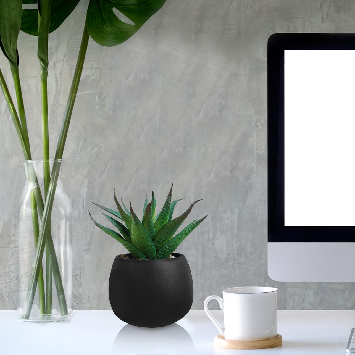 Winlyn decorative succulents pair well with kitchen counters or desks.