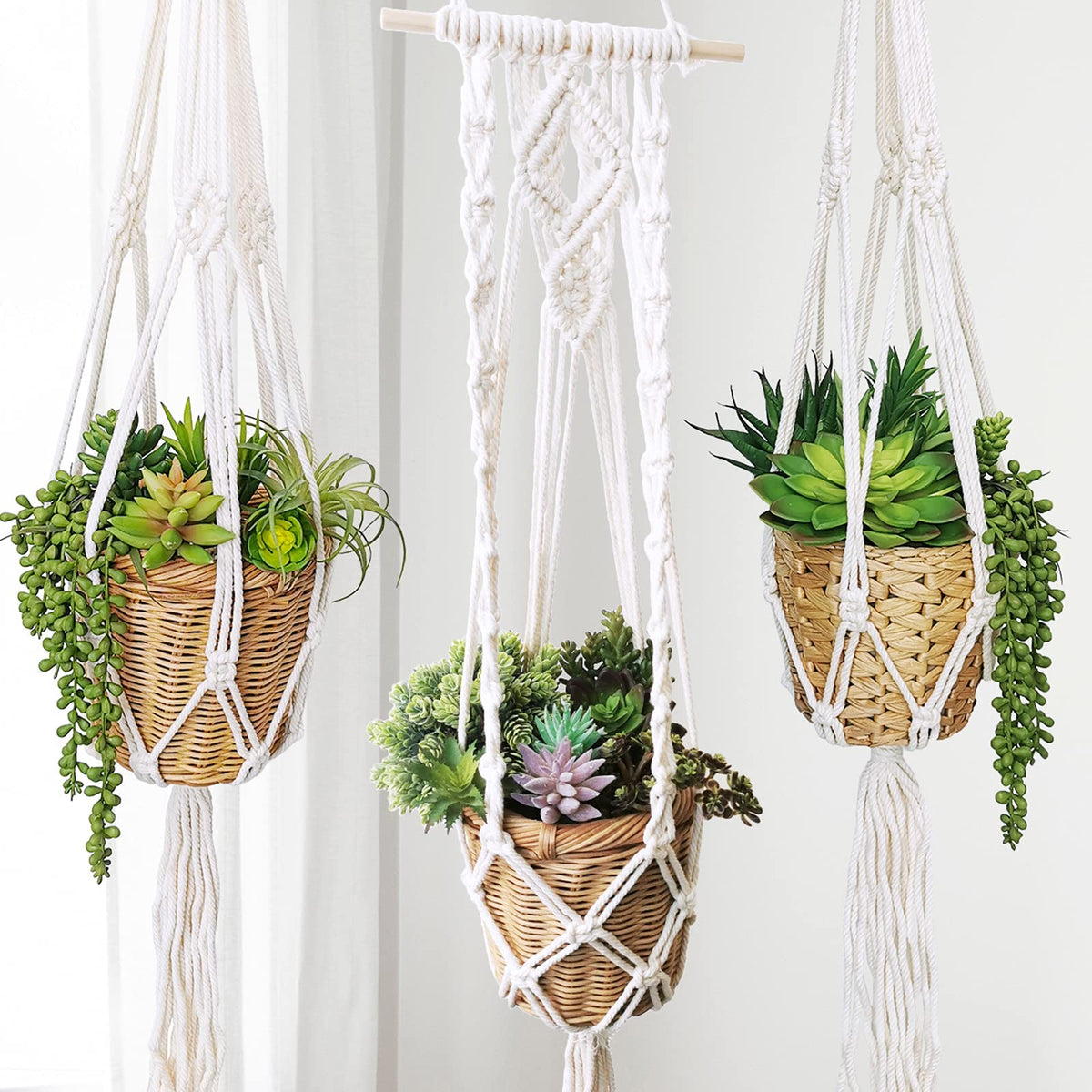 Winlyn molded wax agave stem offers bold sculptural accents in arrangements