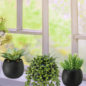 Close-up of pebbled planter detail for Winlyn artificial succulents in black pots