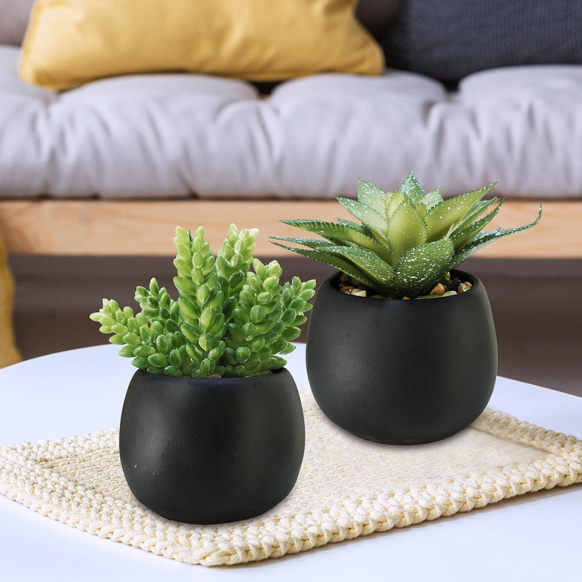 Winlyn succulent shelf decor enhancing bookcase aesthetics