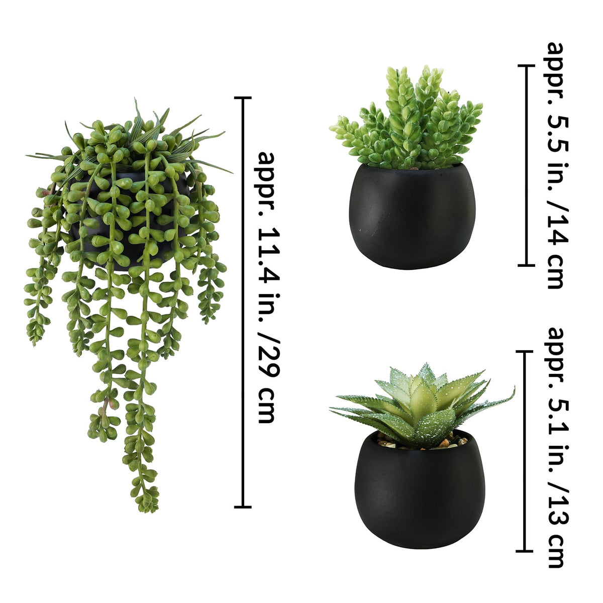 Winlyn String of Pearls in black cement pot adds delicate texture to shelves and desks