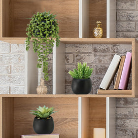 Winlyn trio displayed together on a coffee table for cohesive decor