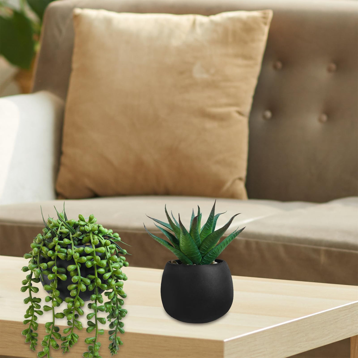 Winlyn potted succulents as wedding favors add natural charm.