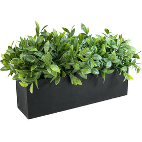 Winlyn boxwood arrangement displayed on a dining table as a stylish centerpiece.