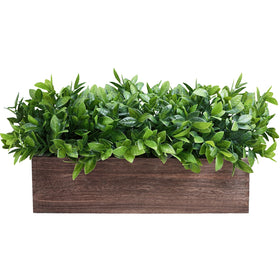 Winlyn boxwood centerpiece in wooden planter, front view for rustic dining room decor.