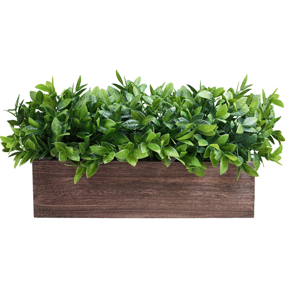 Winlyn boxwood centerpiece in wooden planter, front view for rustic dining room decor.