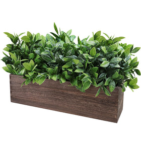 Winlyn boxwood greenery close-up shows lush texture with maintenance-free appeal.