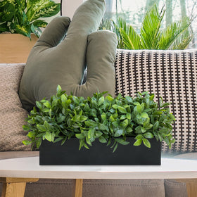 Winlyn boxwood arrangement on a kitchen island, brightening the space effortlessly.