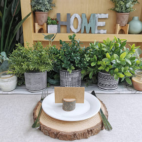 Winlyn boxwood potted plant complements shelves with modern geometric flair.
