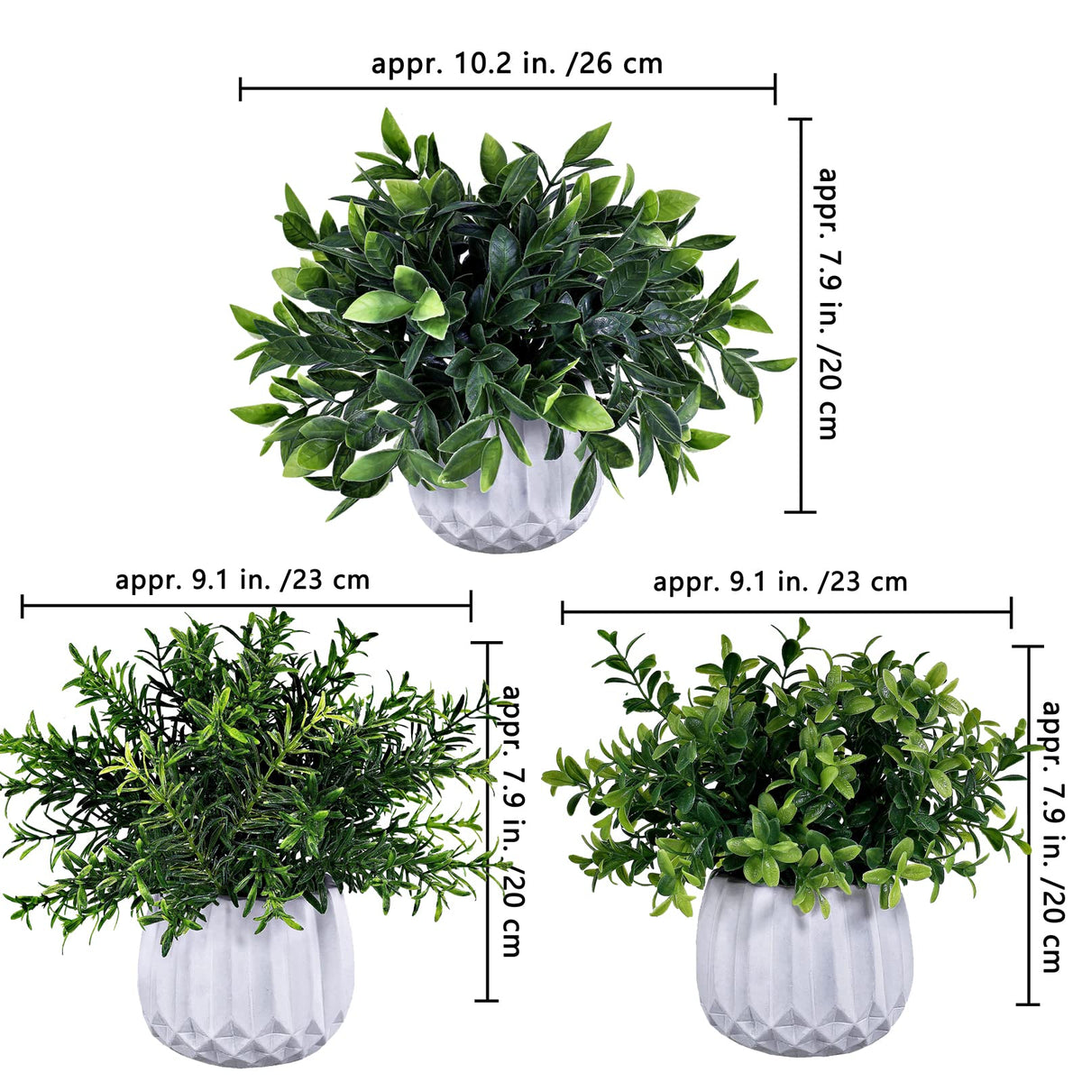Winlyn boxwood potted plant delivers lush greenery for living rooms and offices