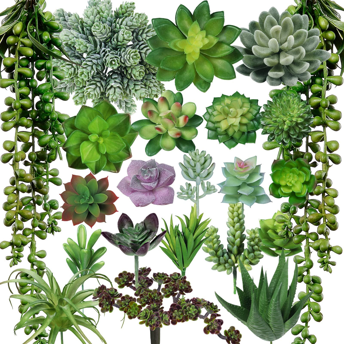 Winlyn Burro's Tail pick adds lush texture to DIY succulent displays.
