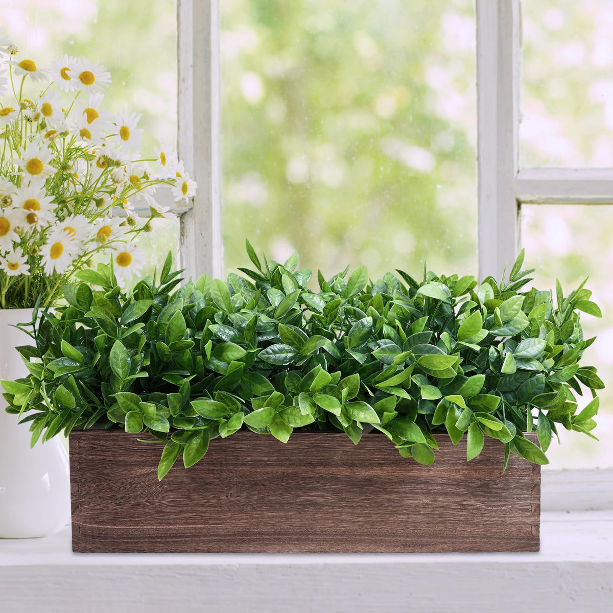 Winlyn boxwood arrangement on windowsill enhances natural light and vibe.