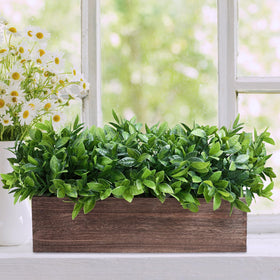 Winlyn boxwood arrangement on windowsill enhances natural light and vibe.