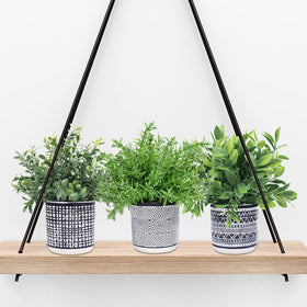Winlyn trio on coffee table creates a welcoming focal point.