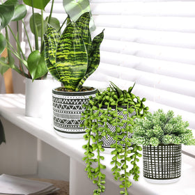 Winlyn concrete ceramic pots feature textured geometry for contemporary decor.