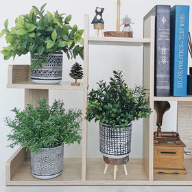 Winlyn concrete pot features geometric pattern and showcases lifelike greenery.