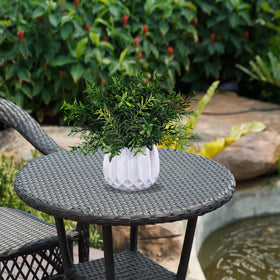 Winlyn desk centerpiece setup demonstrates compact greenery for workspaces