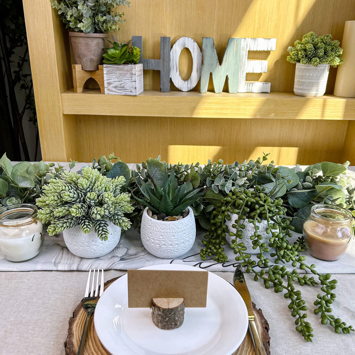 Winlyn desk decor succulent trio fits compact workspaces