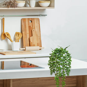 Winlyn artificial succulents on a desk add low-maintenance color
