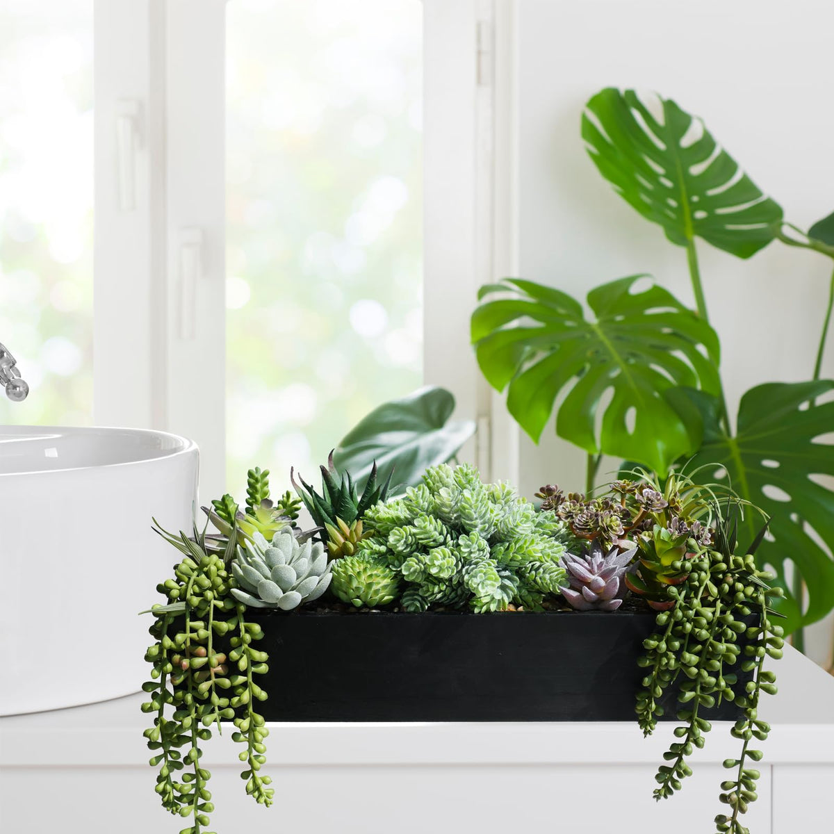 Compact dimensions fit shelves, windowsills, and counters.