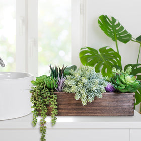 Winlyn succulent arrangement on dining table creates an elegant centerpiece.